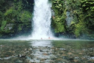 بالي: اكتشف شلالات الغابة ومدرجات الأرز