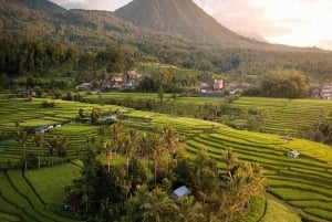 بالي: اكتشف شلالات الغابة ومدرجات الأرز