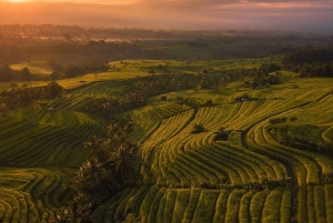 بالي: اكتشف شلالات الغابة ومدرجات الأرز