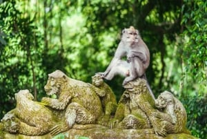 Viaje UNESCO Bali : Ulundanu, Taman ayun y Templo de Tanah lot