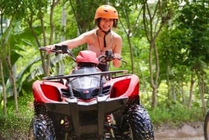 Bali: Pływanie z delfinami, quadami i wodospadem