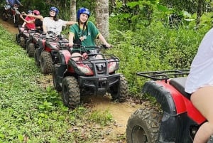 Bali: Pływanie z delfinami, quadami i wodospadem