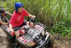 Bali: Pływanie z delfinami, quadami i wodospadem