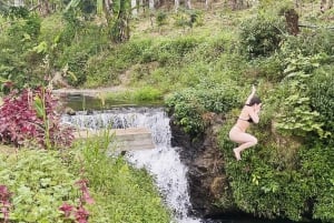 Bali: Pływanie z delfinami, quadami i wodospadem