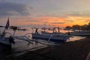 Bali: Pływanie z delfinami, quadami i wodospadem
