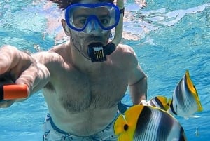 Bali: Pływanie z delfinami, quadami i wodospadem