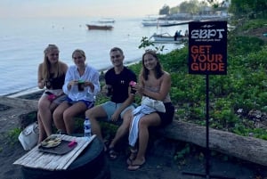Bali: Pływanie z delfinami, quadami i wodospadem