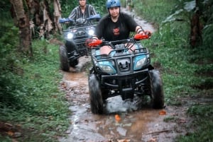 Bali: Pływanie z delfinami, quadami i wodospadem