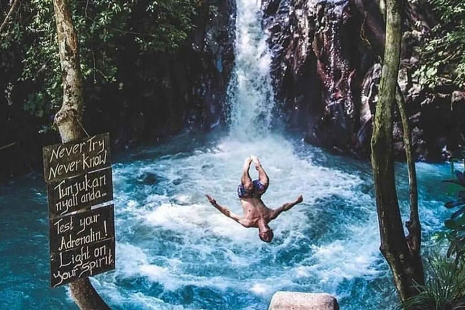 Bali : Observation des dauphins, chute d'eau d'Aling Aling et café ...