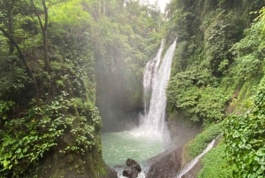 Bali: Dolphin-Watching Cruise and Aling Aling Waterfall Tour