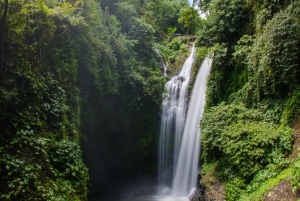 Bali: Dolphin-Watching Cruise and Aling Aling Waterfall Tour
