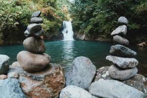 Bali: Dolphin-Watching Cruise and Aling Aling Waterfall Tour