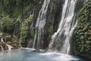 Bali: Delfinbeobachtung, Schnorcheln und Tagesausflug nach Munduk