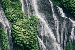 Bali: Delfinbeobachtung, Schnorcheln und Tagesausflug nach Munduk