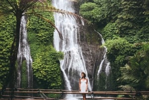 Bali: Delfinbeobachtung, Schnorcheln und Tagesausflug nach Munduk