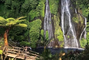 Bali: Delfinbeobachtung, Schnorcheln und Tagesausflug nach Munduk