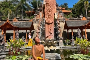 Bali: Delfinbeobachtung, Schnorcheln und Tagesausflug nach Munduk