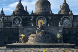 Bali: Delfinbeobachtung, Schnorcheln und Tagesausflug nach Munduk