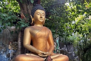 Bali: Delfinbeobachtung, Schnorcheln und Tagesausflug nach Munduk