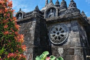 Bali: Delfinbeobachtung, Schnorcheln und Tagesausflug nach Munduk