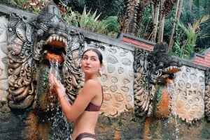 Bali: Delfinbeobachtung, Schnorcheln und Tagesausflug nach Munduk