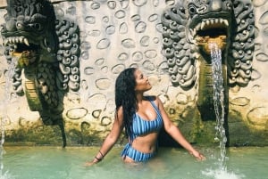 Bali: Delfinbeobachtung, Schnorcheln und Tagesausflug nach Munduk