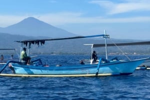 Bali: Delfinbeobachtung, Schnorcheln und Tagesausflug nach Munduk