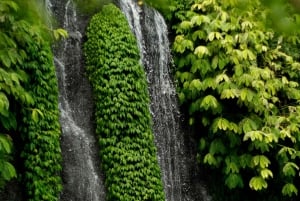 Bali: Dolphin Watching, Waterfall, Wanagiri and Ulun Danu
