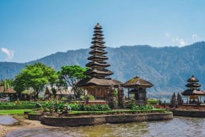 Bali: Dolphin Watching, Waterfall, Wanagiri and Ulun Danu