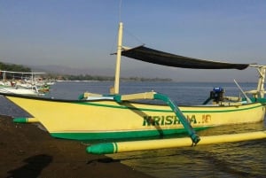 Bali: Dolphin Watching, Waterfall, Wanagiri and Ulun Danu
