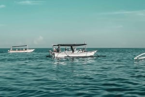 Bali: Dolphin Watching, Waterfall, Wanagiri and Ulun Danu