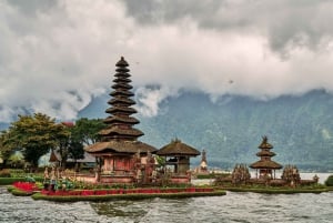 Bali: Dolphin Watching, Waterfall, Wanagiri and Ulun Danu