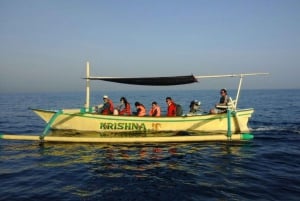 Bali: Dolphin Watching, Waterfall, Wanagiri and Ulun Danu