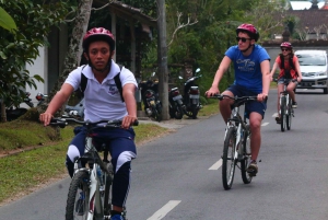 Bali Downhill Cultural Cycling Tour