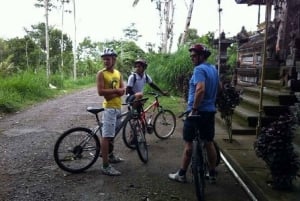 バリ島ダウンヒル文化サイクリングツアー