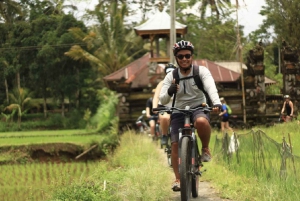 Bali Downhill Culture Cycling Tour