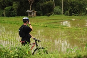 Ubud : Randonnée cycliste en descente dans la jungle et les rizières avec repas