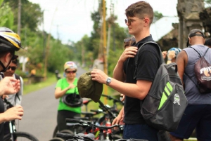 Ubud: Passeio de bicicleta pela selva e terraços de arroz com refeições