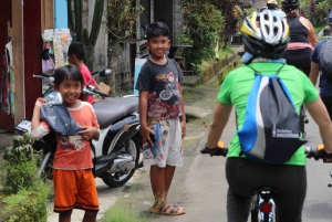 Ubud: Downhill Jungle & Rice Terrace cykeltur med måltider