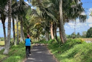 Ubud: Downhill Cycling with Volcano, Rice Terraces and Meal