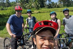 Ubud: Discesa in bicicletta con vulcano, terrazze di riso e cena