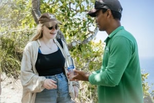 Bali : Excursion d'une journée à Nusa Penida en accès anticipé