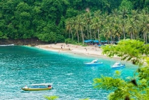 Bali: Early Access to Nusa Penida Day Trip