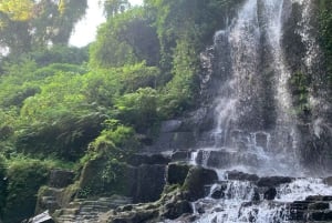 Bali: Tagestour durch Ost-Bali mit Temesi-Wasserfall
