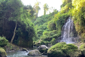 Bali: Tagestour durch Ost-Bali mit Temesi-Wasserfall