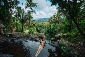 Bali: Joias escondidas de Bali Oriental. Praias exóticas e cachoeiras.
