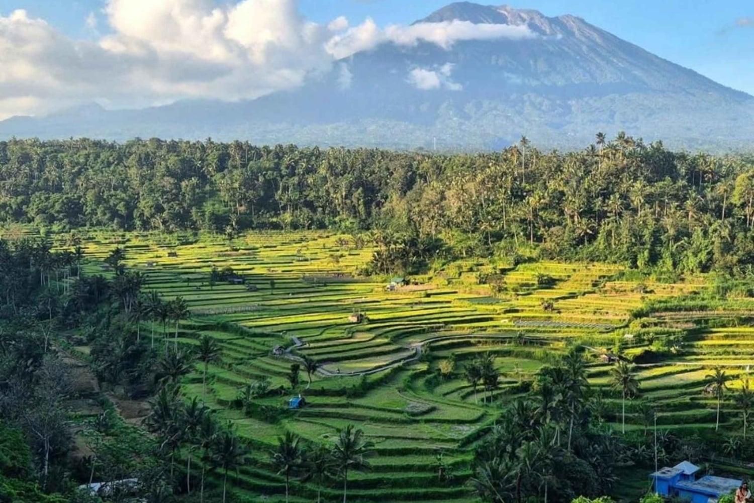 Bali: East Bali Hidden Gems Tour with Waterfall & Village