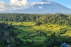 Bali: East Bali Hidden Gems Tour with Waterfall & Village
