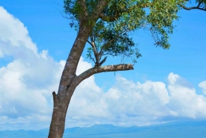 Бали: тур по соляным фермам и королевским достопримечательностям на востоке острова