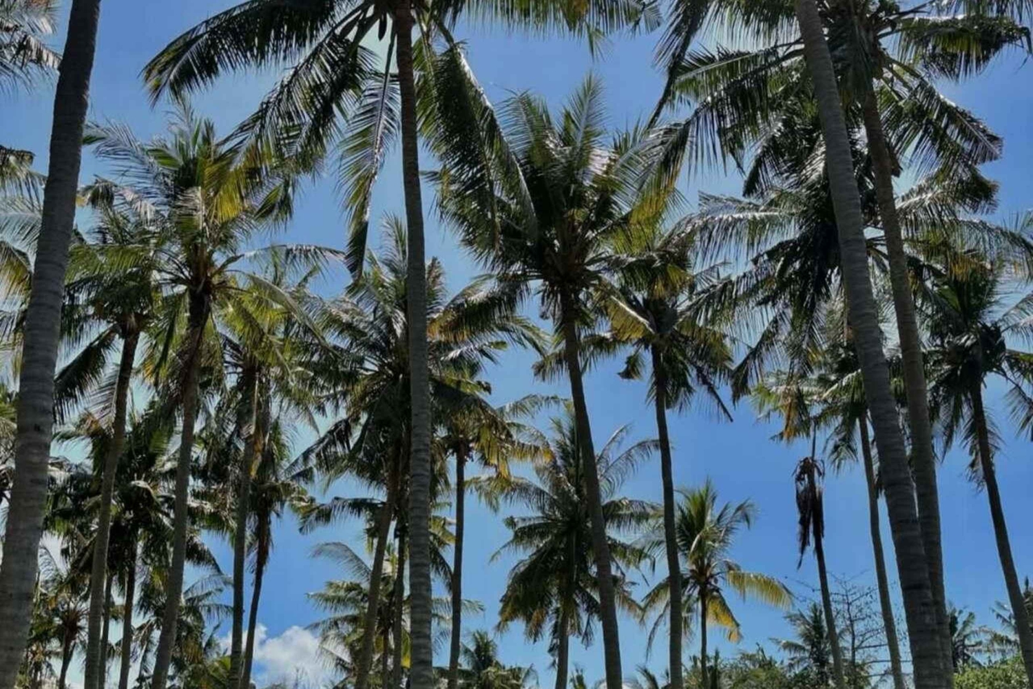 Bali: East Bali Private Tour with Driver and guide